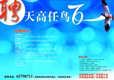 广告设计代理 连接品牌与市场的艺术桥梁